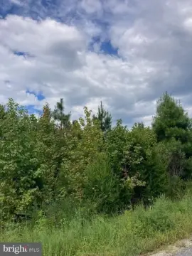 Level Land with Road Frontage