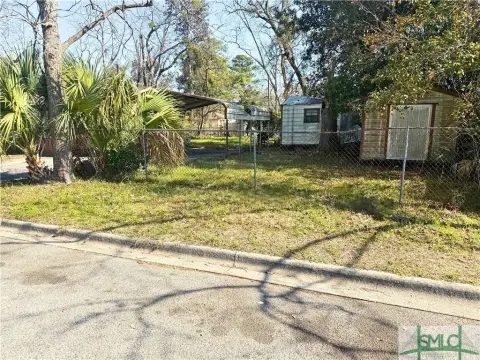 Savannah Land Investment Opportunity