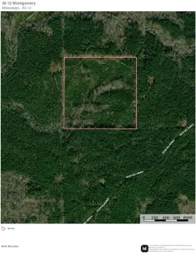 Hunting Tract with Timber Potential