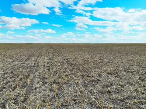 Julesburg Cropland with Wind Lease