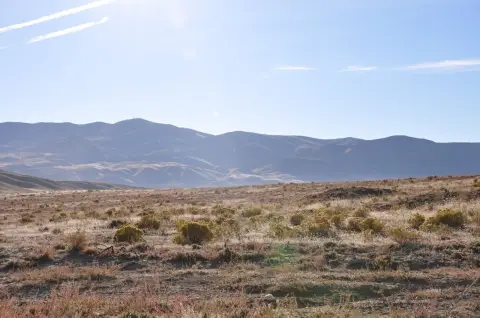 160 Acres of Rolling Hills