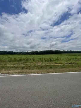 4.01-Acre Mini Farm Lot