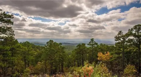 Residential Land in Watson, OK