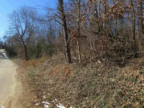 Taylors Acreage with Road Frontage