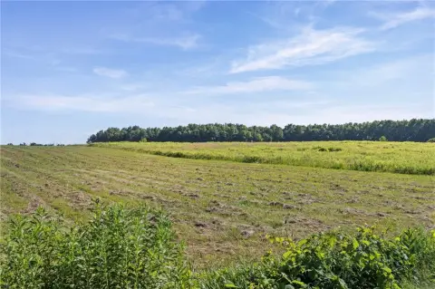 Mostly Level Farmland Parcel