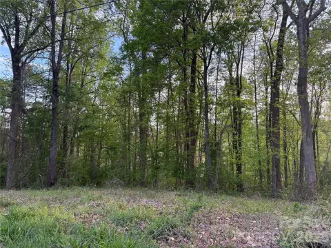 Vacant Wooded Lot in Claremont