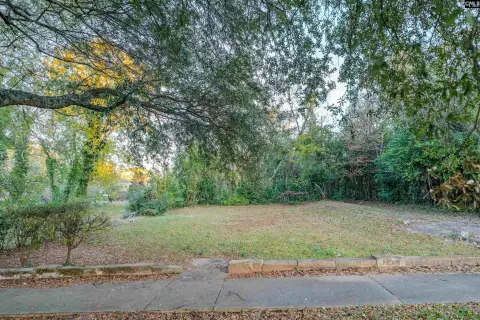 Downtown Residential Lot in Columbia