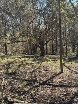 Tyler Ranch with Development Potential