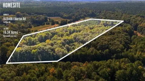 Carlton, GA Pristine Land