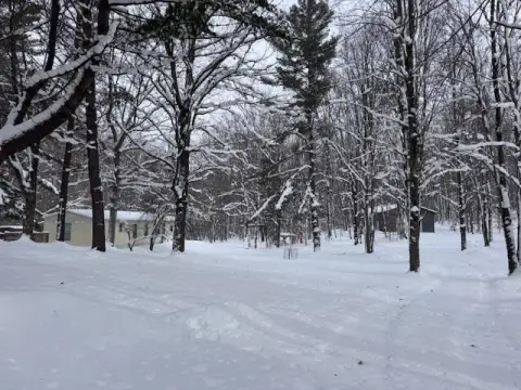 Wooded Acreage with Hunting Amenities