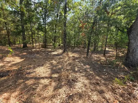 Land For Sale in Texas