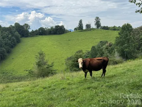 Mountain Farmland with River Frontage