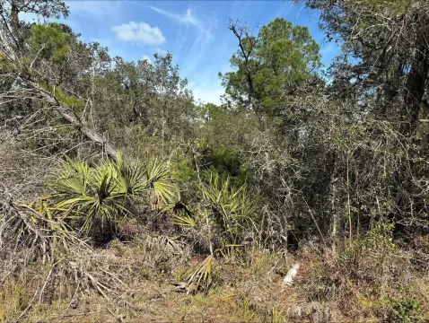 Polk County Land For Sale