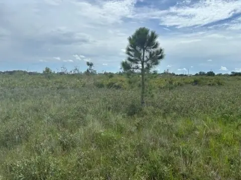 Okeechobee Land For Sale