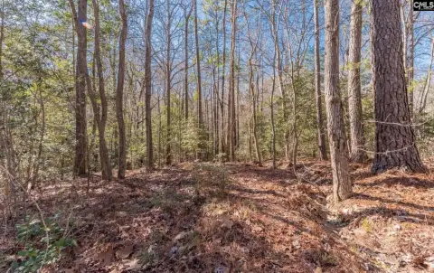 Lexington Acreage in Prime Location