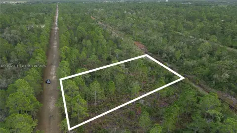 Spacious Vacant Lot Opportunity