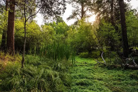 Rural Residential Land Parcel