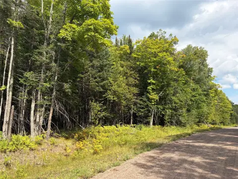 Forest Hunting Land