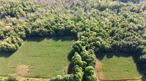 Agricultural Land with Mature Timber