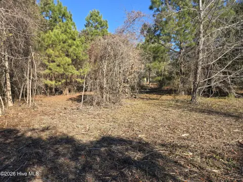 Wooded Homesite Near Coastal Amenities