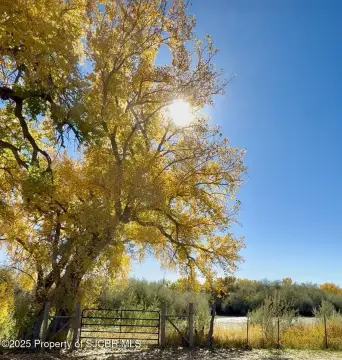 48.5 Acres Riverfront Farm Land