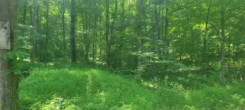 Wooded Hunting Land Retreat