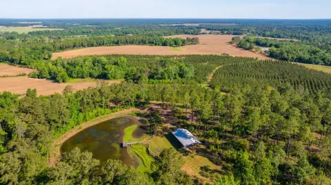 Agricultural Hunting Land Tract