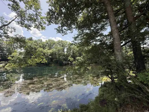 Waterfront Residential Development Land