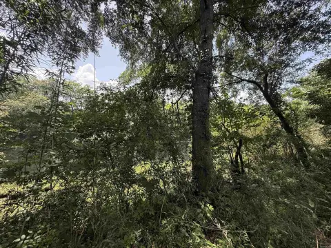Riverfront Development Land