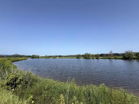 Waterfront Residential Development Lots