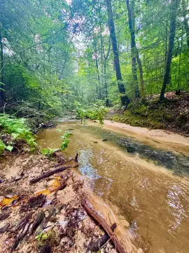 Creekside Hunting Land
