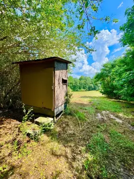 Wooded Hunting Land