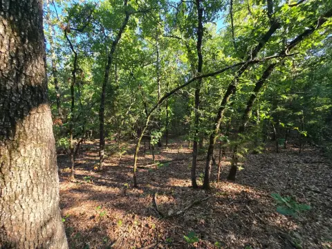 Off-Grid Recreational Land Tract