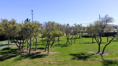 Residential Lot in Holiday Beach