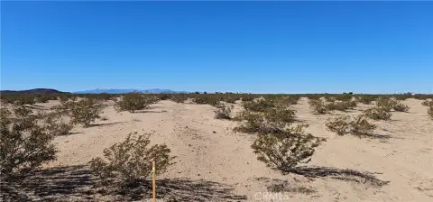 Generous 5-Acre Joshua Tree Parcel