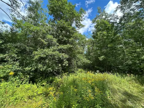 Upland Timber Land Tract