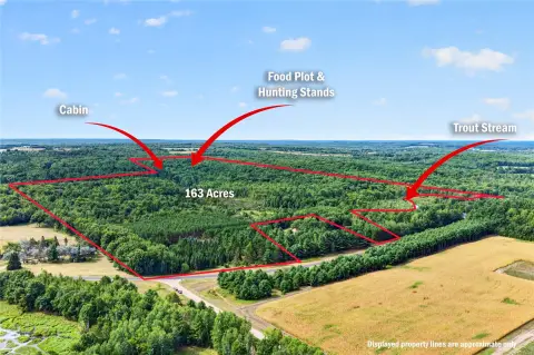 Hunting Land with Remodeled Cabin
