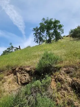 Land in Yokuts Valley, CA