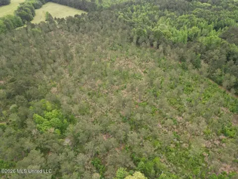 Versatile Land in Bienville Parish