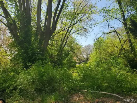 Belleville Land Near Downtown