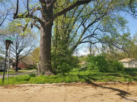 Belleville Land For Sale