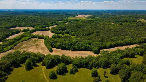 Mooreville Farm: Premier Landholding