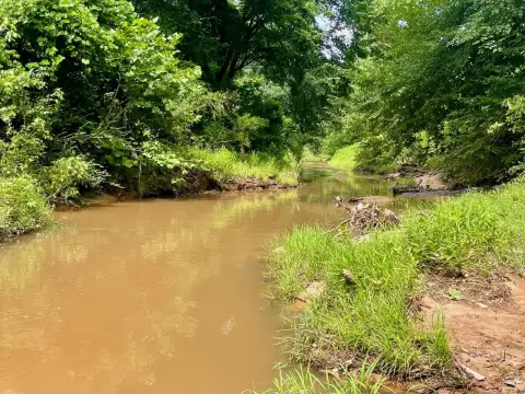 Grenada MS Vacant Land