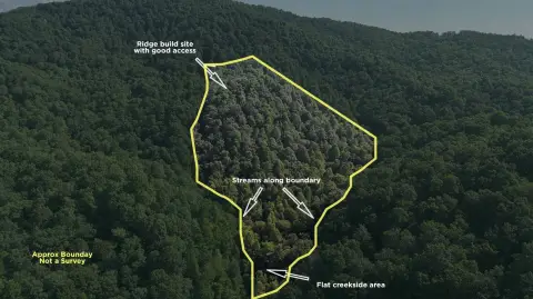 Wooded Mountain Acreage with Creeks