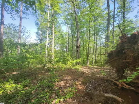 Residential Lot with Golf Views