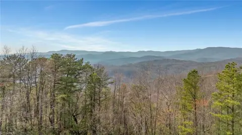 Mountain-View Hunting Land