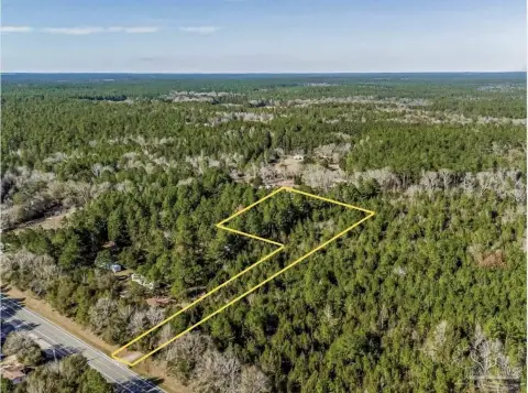 Unrestricted Wooded Homesite Land