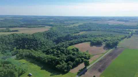 Timbered Hunting Land