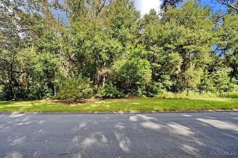 Residential Land in Inverness, FL