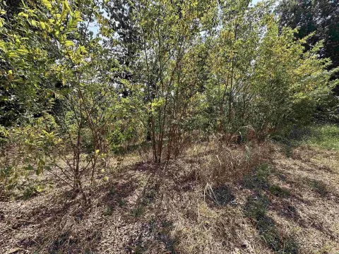 Horseshoe Bend Acreage for Residence